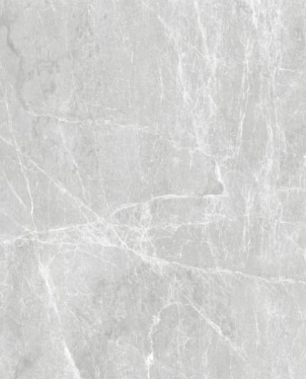 SPIDER GREY