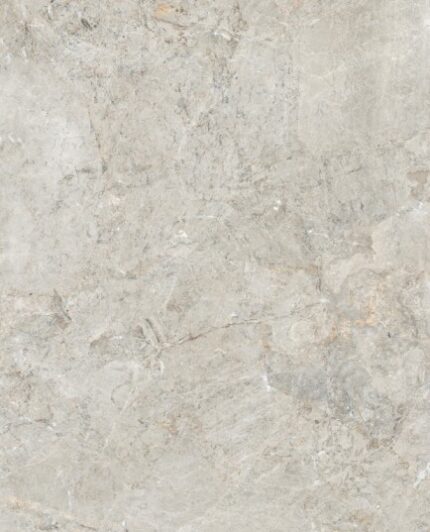 FENICE GREY